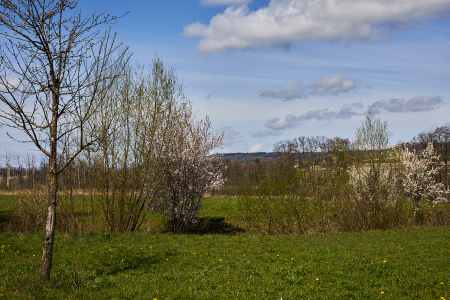 Image 56